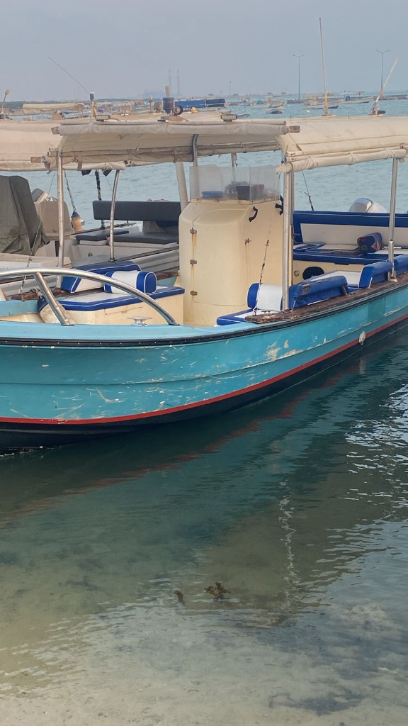بوت 51