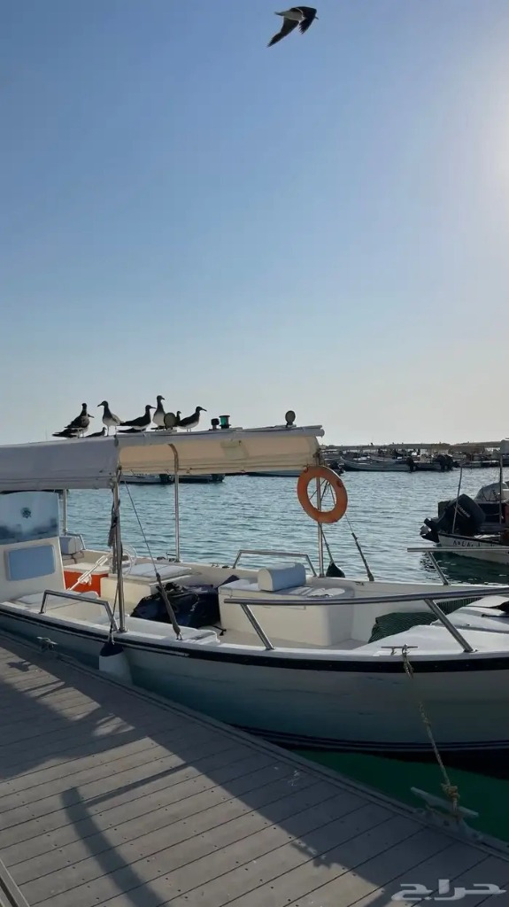 بوت 52