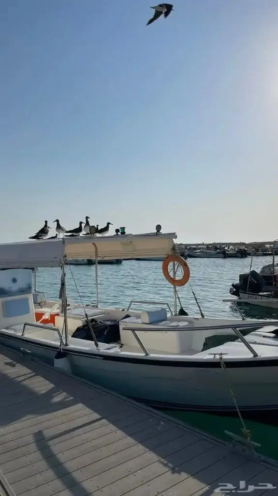 رحلات المقاعد الفردية المشتركة